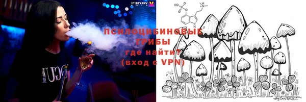 молекула духа Белоозёрский