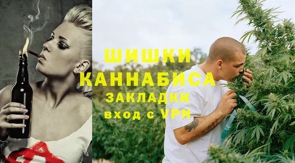 гашик Белокуриха