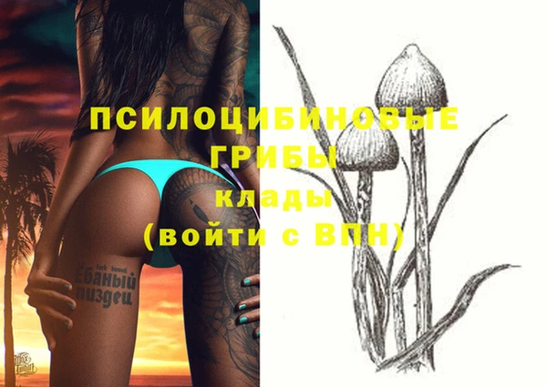 PSILOCYBIN Беломорск
