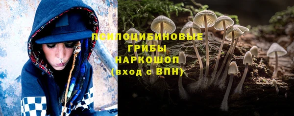 гашик Белокуриха