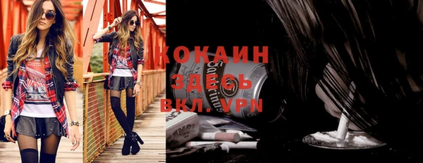 гашик Белокуриха