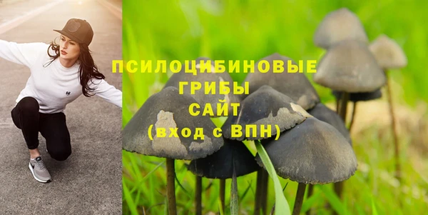 гашик Белокуриха