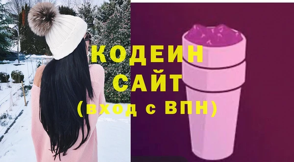 молекула духа Белоозёрский